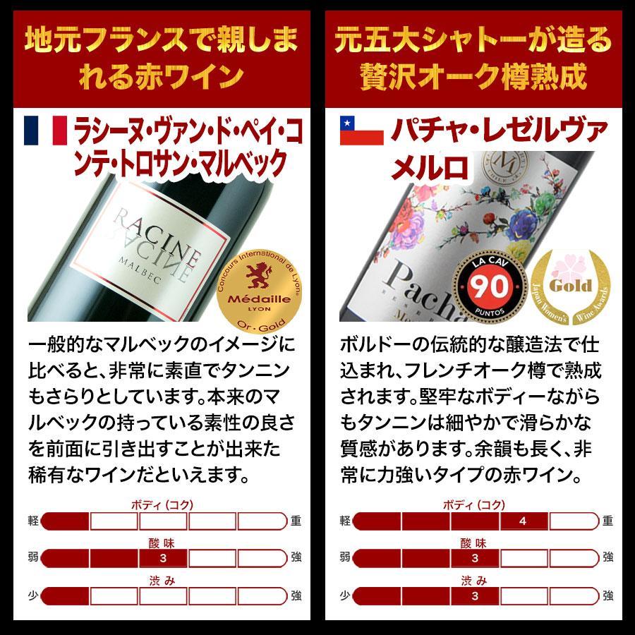 ワイン ワインセット 赤ワイン 金賞ボルドー＆世界の金賞赤ワイン12本セット 送料無料 【抽選で五大シャトーなど豪華ワインが当たる！】「4/26更新」｜wsommelier｜07