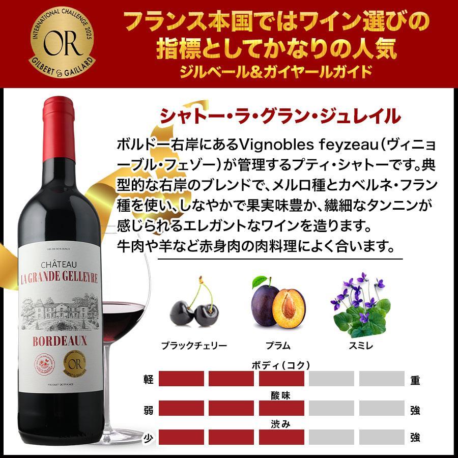 ワイン ワインセット 赤ワイン 17周年記念！金賞ボルドーと元五大