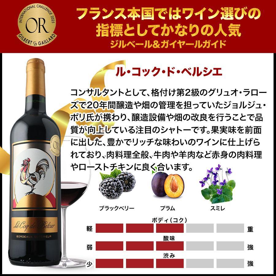ワイン ワインセット 赤ワイン 17周年記念！金賞ボルドーと元五大