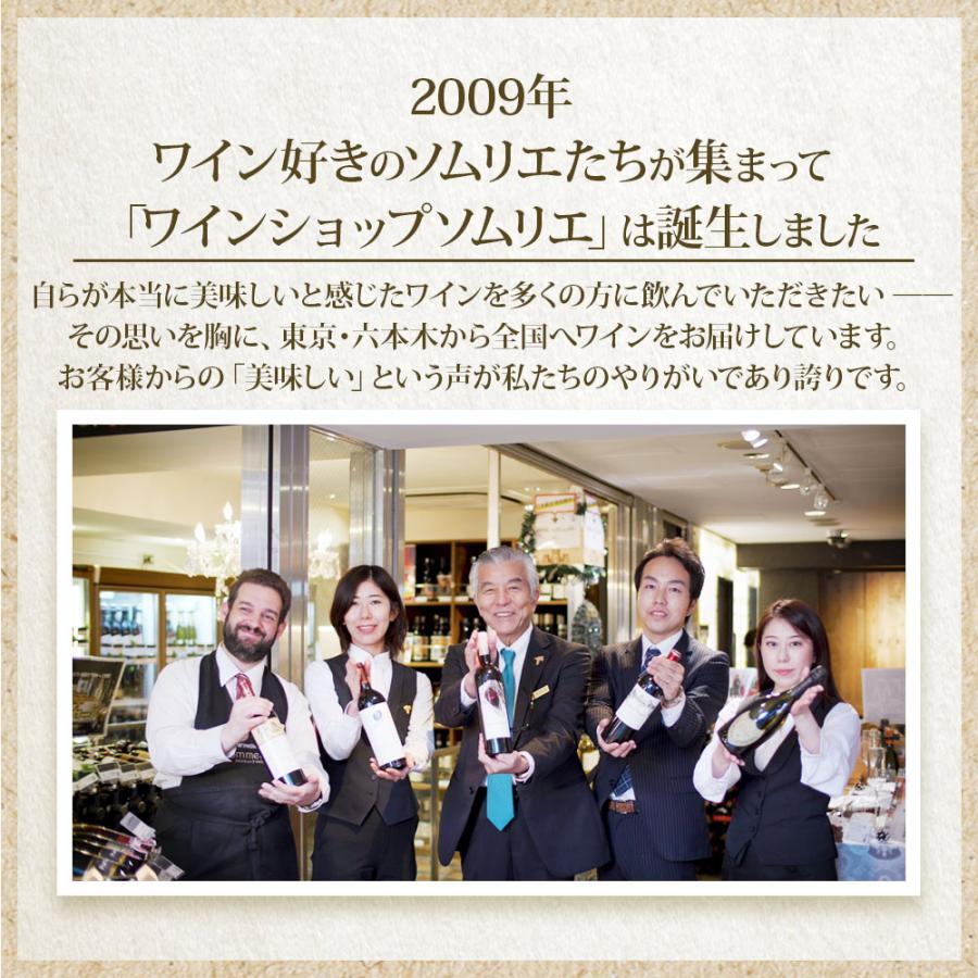 ワイン ワインセット 赤ワイン 当店ソムリエが選んだ「ちょっと ワイン ワインセット 赤ワイン 当店ソムリエが選んだ「ちょっと