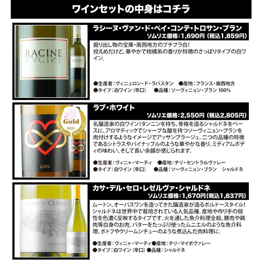 ワイン ワインセット 白ワイン ベストセラー白ワイン10本セット 送料無料「4/18更新」｜wsommelier｜03