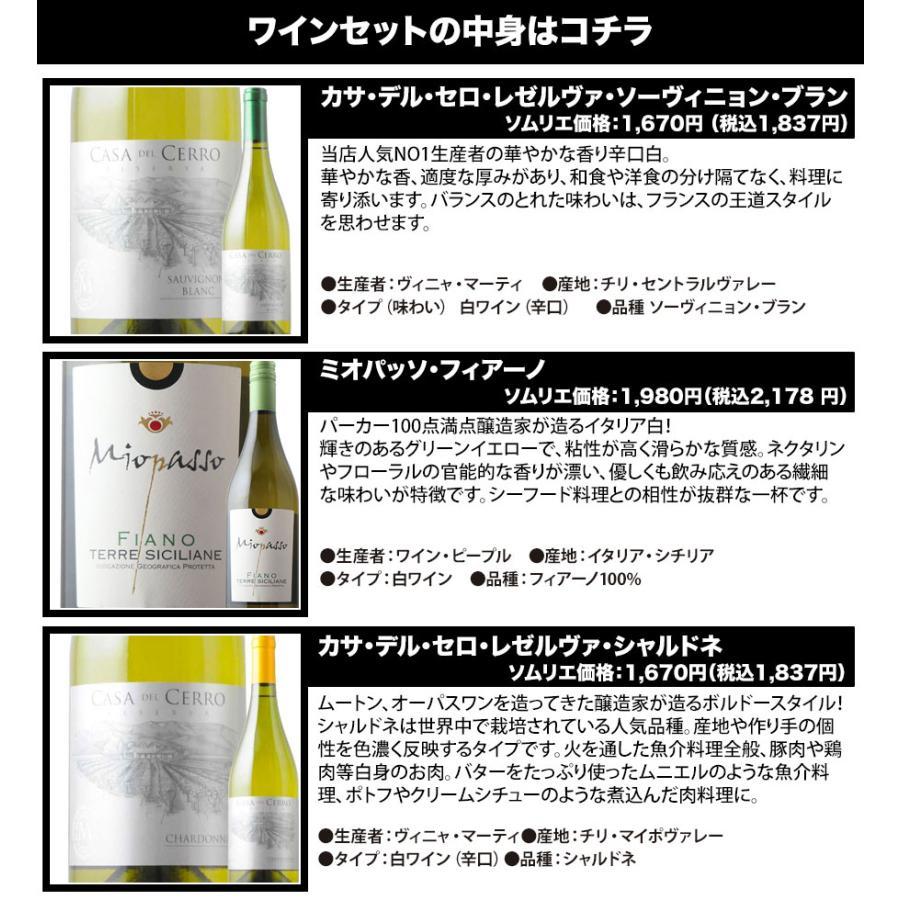 ワイン ワインセット 白ワイン ベストセラー白ワイン10本セット 送料