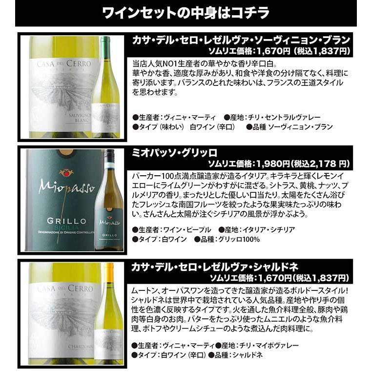 ワイン ワインセット 白ワイン ベストセラー白ワイン10本セット 送料