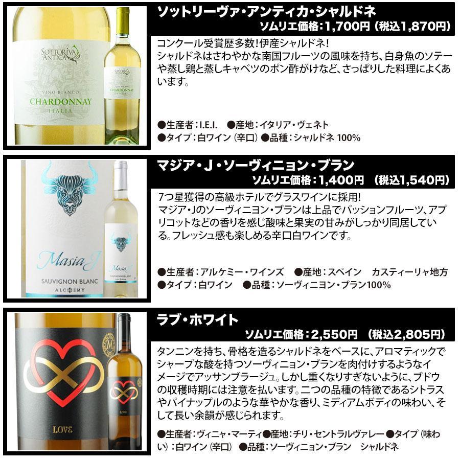 ワイン ワインセット 白ワイン ベストセラー白ワイン10本セット 送料
