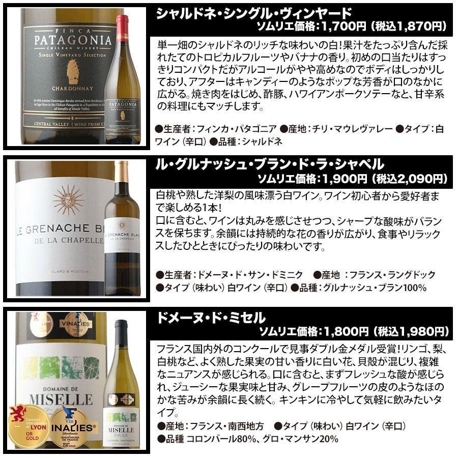 ワイン ワインセット 白ワイン ベストセラー白ワイン10本セット 送料