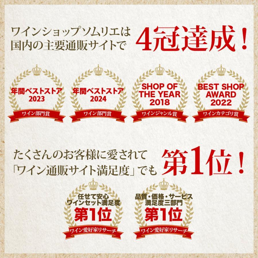 ワイン ワインセット 白ワイン ベストセラー白ワイン10本セット 送料