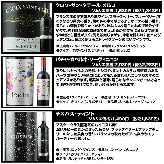ワイン ワインセット 赤ワイン ベストセラー赤ワイン10本セット 送料