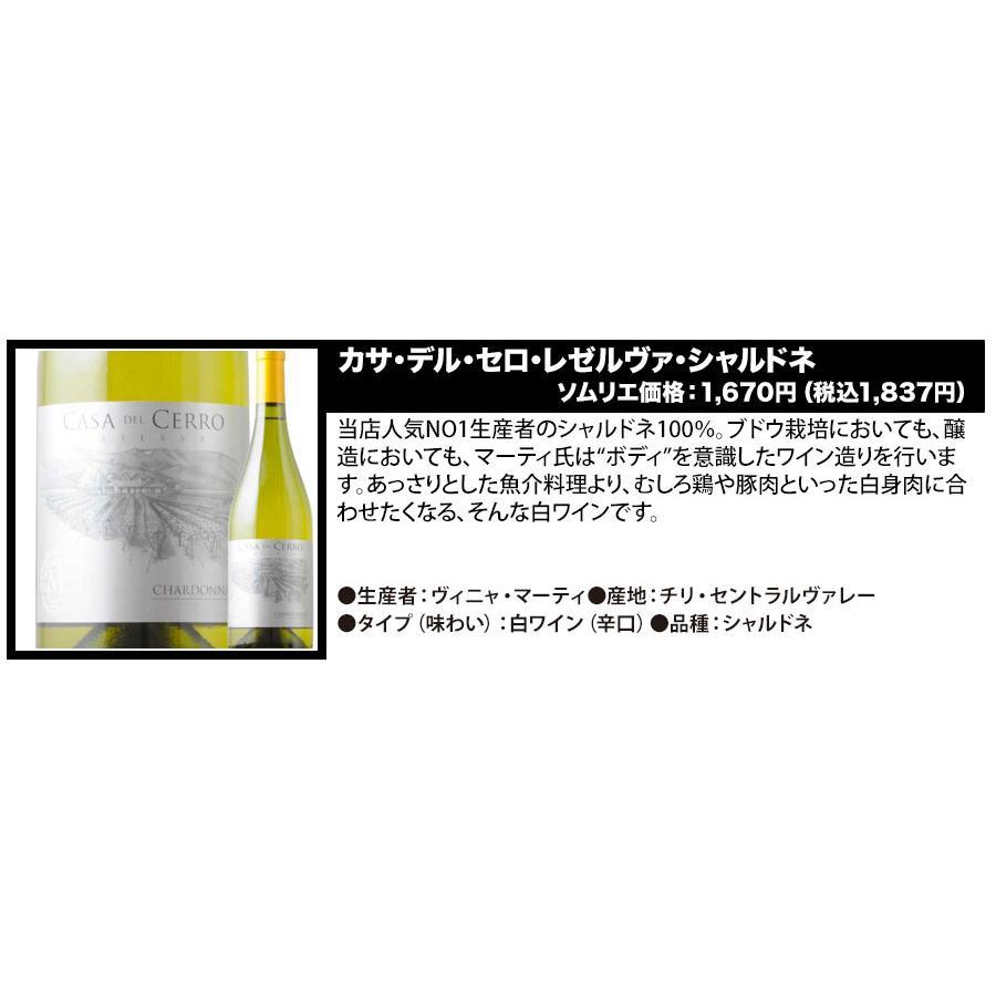 ワイン ワインセット ミックス ベストセラー赤白泡ワイン10本セット（赤ワイン5本、白ワイン3本、泡2本）送料無料 「4/23更新」｜wsommelier｜06