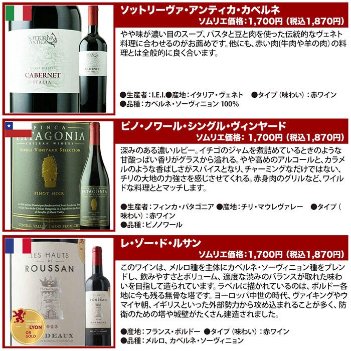 ワイン ワインセット ミックス 年末年始はこの1セットでOK！ワインの黄金玉手箱　バラエティ24本セット 送料無料「1/15更新」 爆買 |  | 02