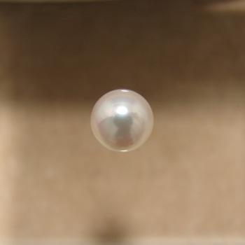 あこや本真珠 パールルース（シングル） ホワイト系 7.0-7.5mm BBB 
