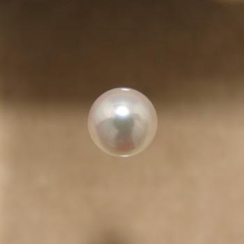 あこや本真珠 パールルース(シングル) ホワイト系 8.5-9.0mm BBB ラウンド （片穴があいています）[n3][4-413]｜wsp｜04