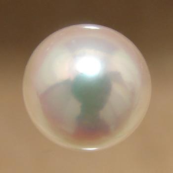 あこや本真珠 パールルース（シングル） ホワイト系 8.0-8.5mm AAB ラウンド （片穴があいています）[n3][4-412