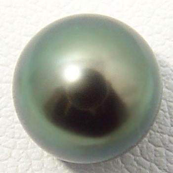 タヒチ黒蝶真珠 パールルース（シングル） グリーン系 10.0mmUP AAB ラウンド （無穴）[n4]