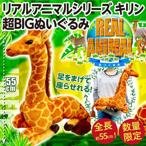 キリン 超BIGぬいぐるみ リアルアニマルシリーズ/全長55cmの超大きな