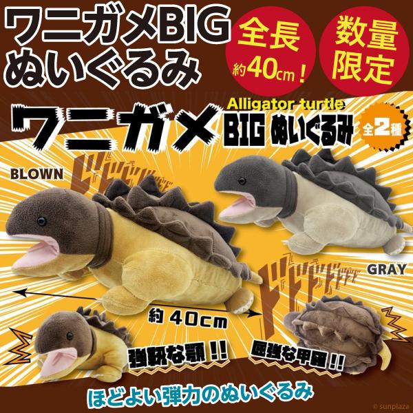 ワニガメBIGぬいぐるみ/超BIGな約40cm 鰐亀 人形 新品 : オリジナル