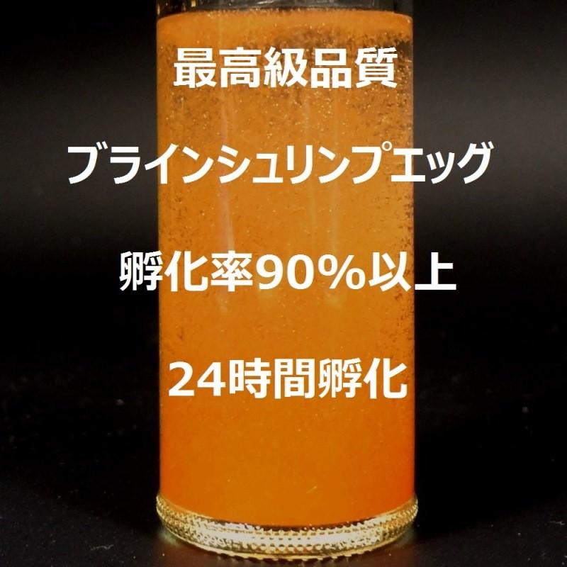 新中国産 ブラインシュリンプエッグ 孵化率 90%以上 300g BISHOKU 