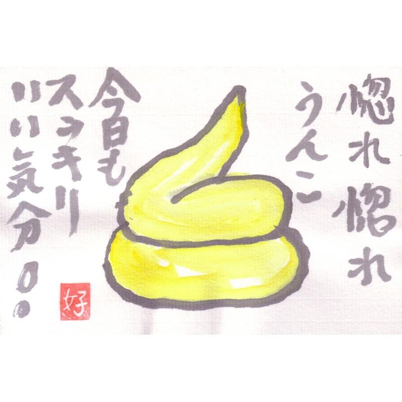 サプリメント 「惚れ惚れウンコの素」 植物性繊維加工食品 株式会社