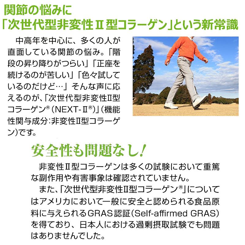 サプリメント 「関節の友NEXT」 20粒入り 機能性表示食品 健康食品 非変性II型コラーゲン 龍泉堂｜wts-proshop｜06