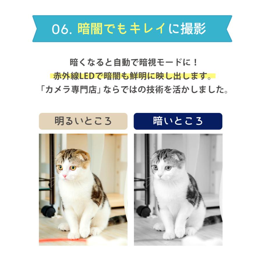 ペットカメラ 自動給餌器 自動餌やり機 180度カメラ 犬 猫 スマホ 防犯カメラ Gohan Wtw 塚本無線 通販 Yahoo ショッピング