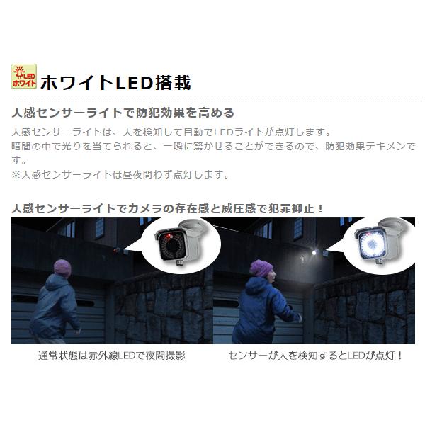WTW 塚本無線 【受注生産】防犯カメラ 屋外 ボイス赤外線カメラ