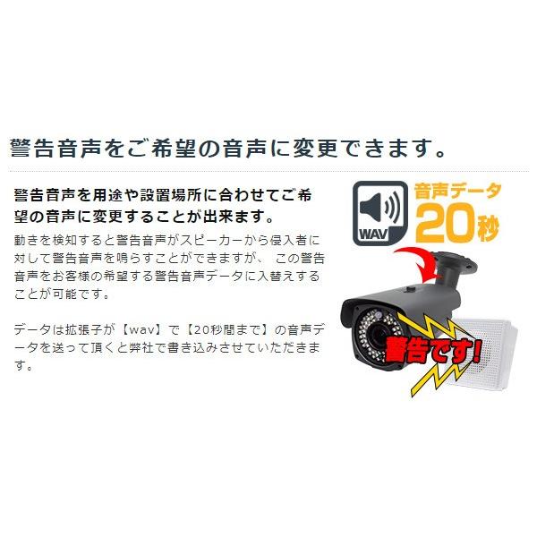 WTW 塚本無線 【受注生産】防犯カメラ 屋外 ボイス赤外線カメラ WTW 塚本無線 【受注生産】防犯カメラ 屋外 ボイス赤外線カメラ