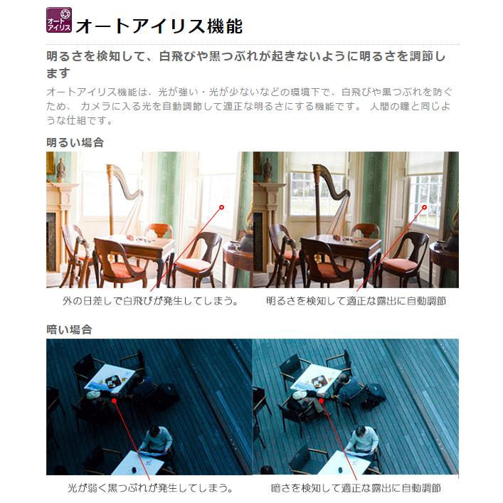 ❤️新品未使用❤️カメラ スマートワイヤレス 赤外線 モニタリング モニターカメラ Amazon.co.jp: 【500万画素・13インチ液晶モニター搭載】ANRAN 防犯