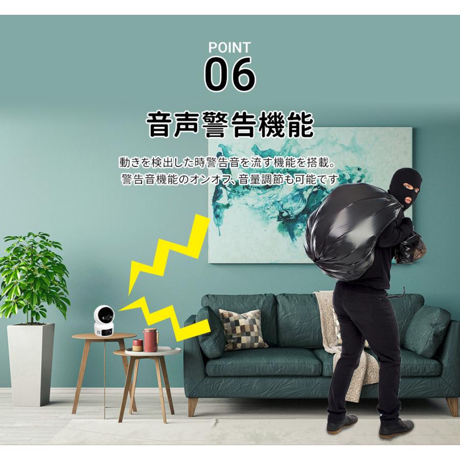 WTW 塚本無線 WTW 塚本無線 防犯カメラ 監視カメラ みてるちゃん猫H