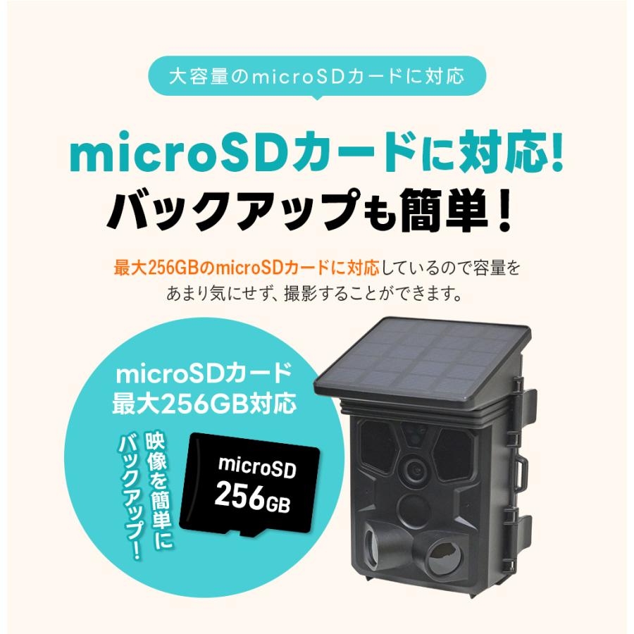 WTW 塚本無線 防犯カメラ トレイルカメラ ソーラーパネル一体型 静止画