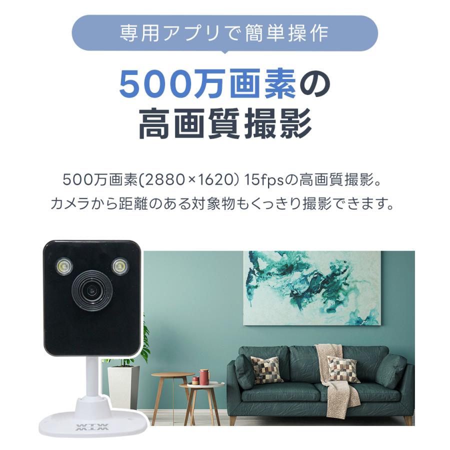 WTW 塚本無線 防犯カメラ ブルームーンライト 低照度 ペットカメラ