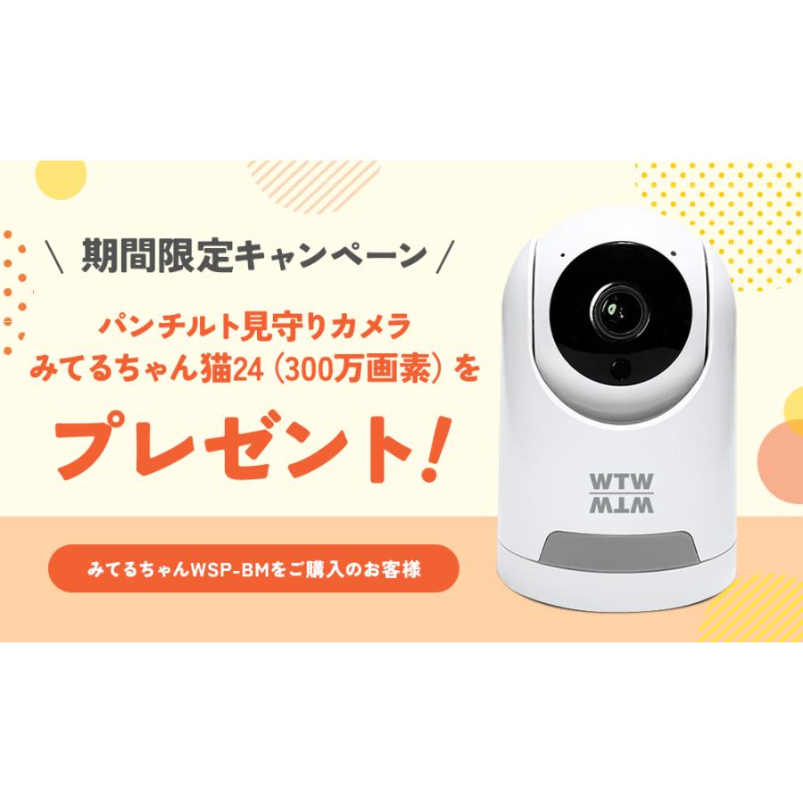 WTW 塚本無線 防犯カメラ 防犯カメラ アンテナ内蔵 1インチ 300万画素
