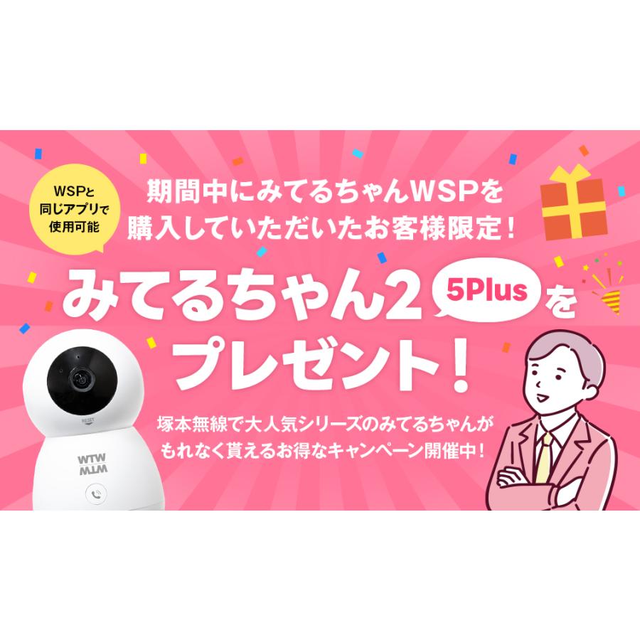 WTW 塚本無線 防犯カメラ 防犯カメラ アンテナ内蔵 1インチ 400万画素