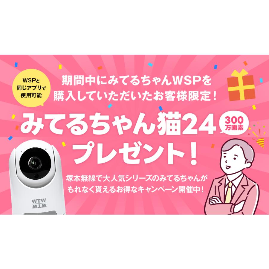 WTW 塚本無線 防犯カメラ 防犯カメラ アンテナ内蔵 1インチ 400万画素