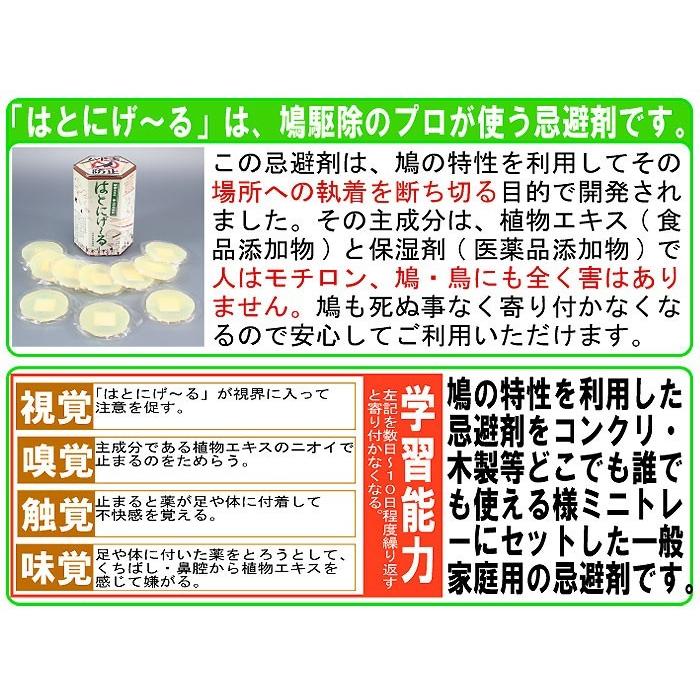 鳩よけ対策 ベランダ ハト対策 鳥のフン 鳥の糞 糞対策 掃除 鳩の撃退法 Gt 8059s ワールドトレンド オンライン 通販 Yahoo ショッピング