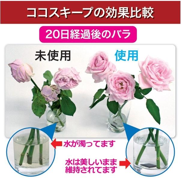 生け花延命剤 切り花イキイキ 花瓶の水を浄化 微生物やカビの繁殖を防ぎます 1か月有効 500mlに一包 １２包入り Gt ワールドトレンド オンライン 通販 Yahoo ショッピング
