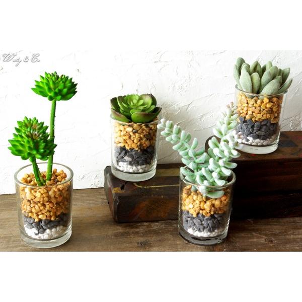 人工観葉植物 Succulent Glass Pot 4点set ( 多肉植物 フェイクグリーン おしゃれ サボテン )｜wutty｜05