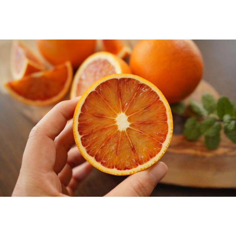予約3月下旬〜／太陽をたっぷり浴びた 国産ブラッドオレンジ 1.5kg