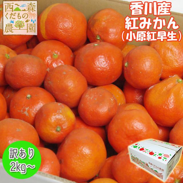 香川産 訳あり紅みかん 5ｋｇ箱 ご家庭用 Obara5wake 西森くだもの農園 香川みかん農家 通販 Yahoo ショッピング