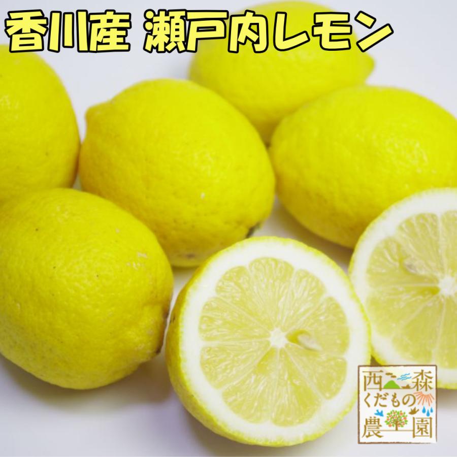 国産レモン1.5kg ノーワックス 香川産 瀬戸内産 檸檬 : 西森くだもの