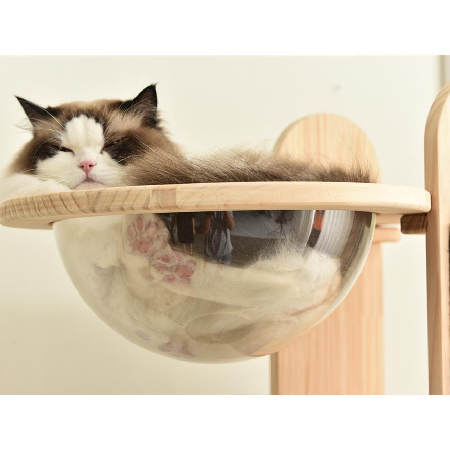 キャットタワー 木製 天然木 宇宙船付き 猫ハウス 頑丈 据え置き