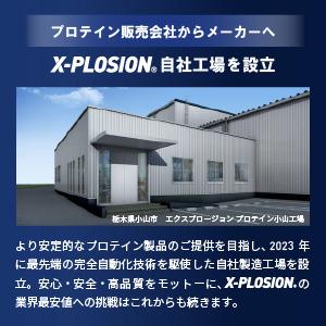 エクスプロージョン ミセルミックスプロテイン MXP 100% MICELLAR CASEIN ISOLATE & 100% SKIM MILK 3kg ミルクチョコレート味 大容量 | エクスプロージョン | 17