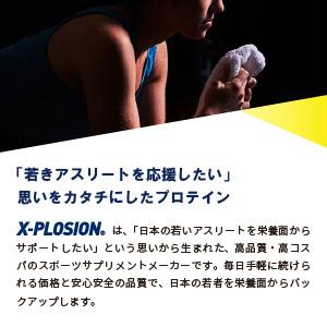 エクスプロージョン ミセルミックスプロテイン MXP 100% MICELLAR CASEIN ISOLATE & 100% SKIM MILK 3kg ミルクチョコレート味 大容量 | エクスプロージョン | 09