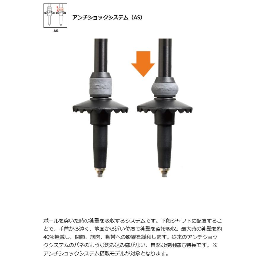 LEKI（レキ） LEKI 1300487 レガシーライト AS カラーグリーン(550
