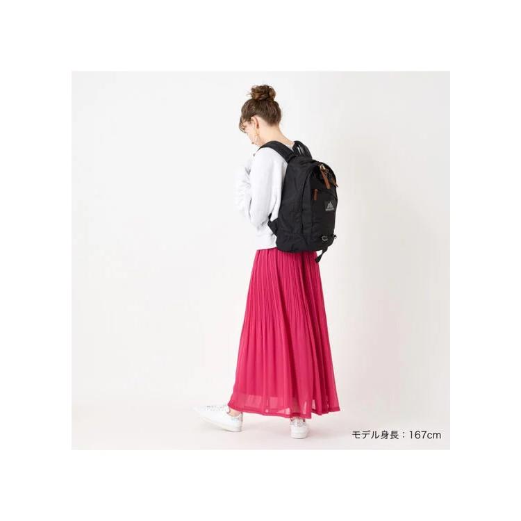 GREGORY（グレゴリー） GREGORY 146493 ファインデイ V2 JPS カラー