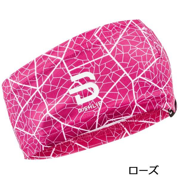 ビヨルンダーリ BjornDaehlie クロスカントリースキー キャップ ヘッド