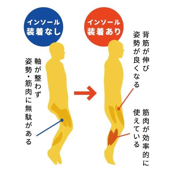 BMZ インソール アシトレ Men ながらトレーニング 筋トレ 浮き指 かかと体重 姿勢 足トレ | BMZ | 03