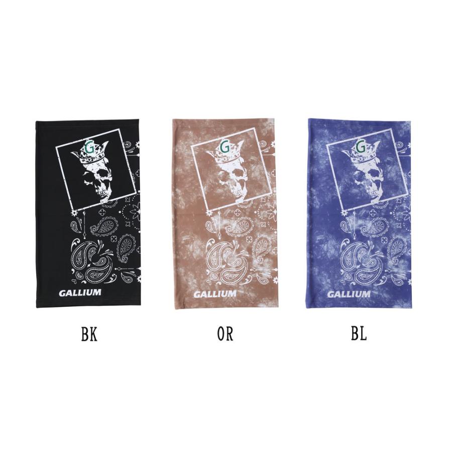 ガリウム GALLIUM クロスカントリースキー アルペンスキー