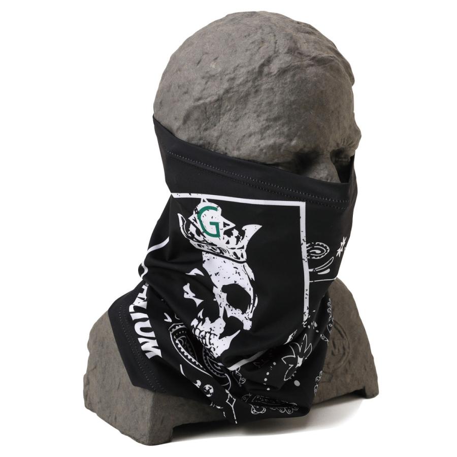 ガリウム GALLIUM クロスカントリースキー アルペンスキー