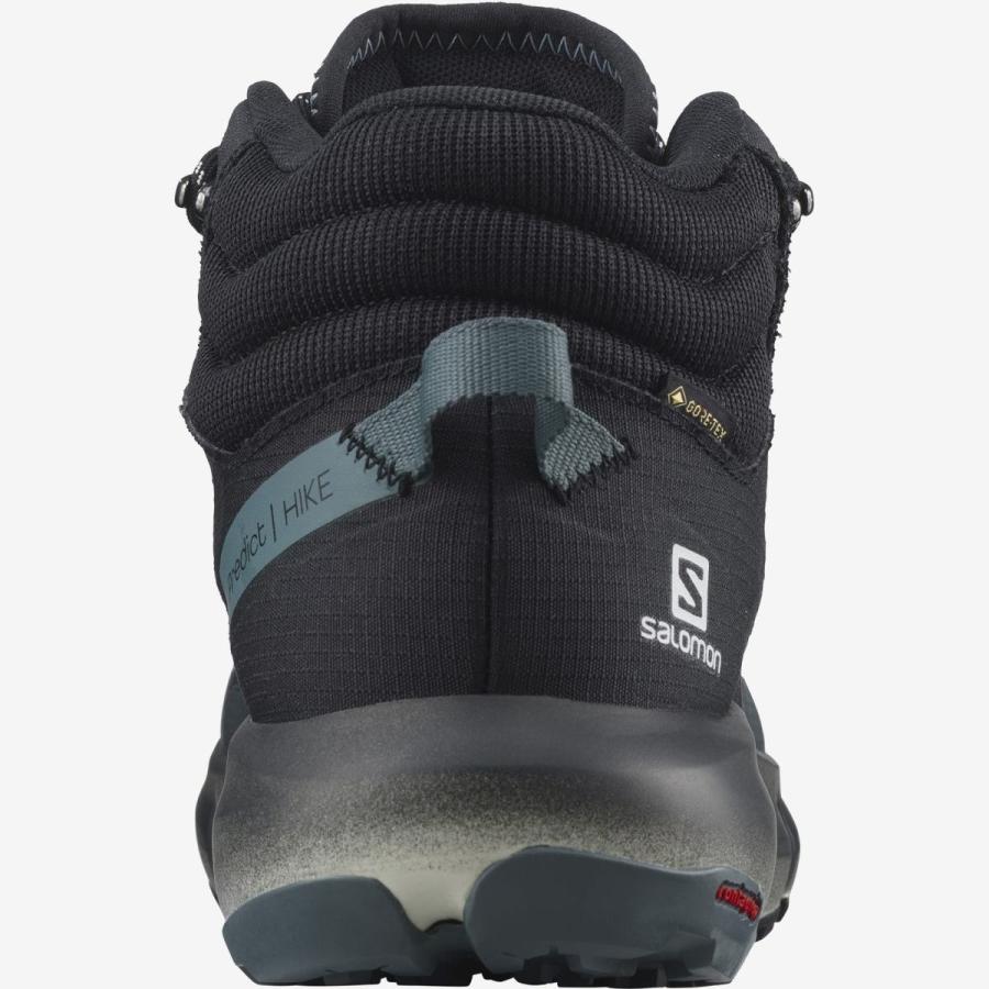 SALOMON（サロモン） ハイキングシューズ アウトドア プレディクト
