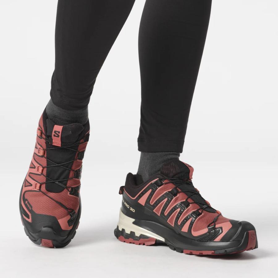 サロモン SALOMON L47270900 WOMEN XA PRO 3D V9 GTX カラーCowHide 