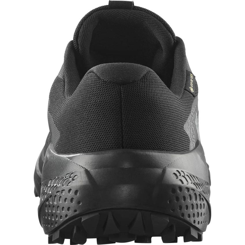 SALOMON（サロモン） SALOMON L47802100 ALPHAGLIDE GORE-TEX カラー